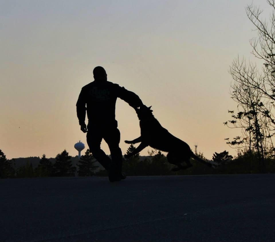 K-9 attacking a persons arm