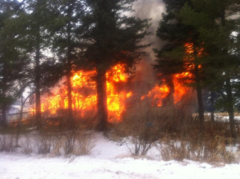 flames engulfing trees in the woods