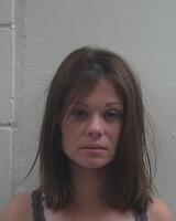 Mugshot of BASLEY, SHERRI LYNN 